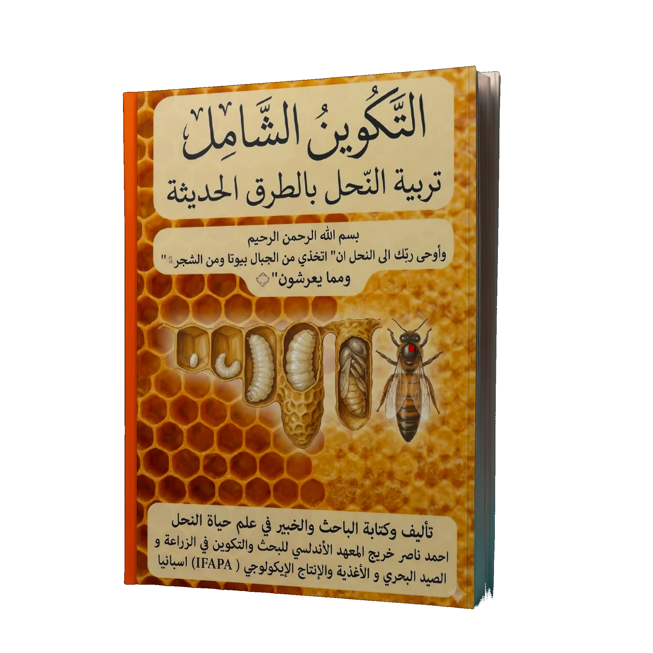 التكوين الشامل في تربية النحل بالطرق الحديثة — Perfect Bee Academy